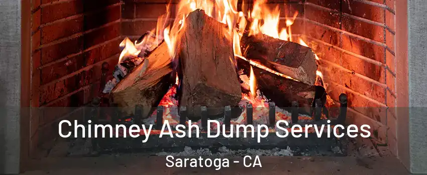  Chimney Ash Dump Services Saratoga - CA