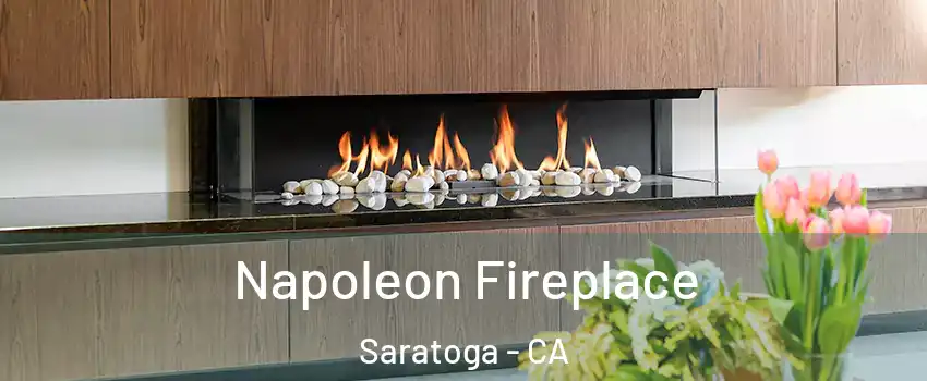  Napoleon Fireplace Saratoga - CA