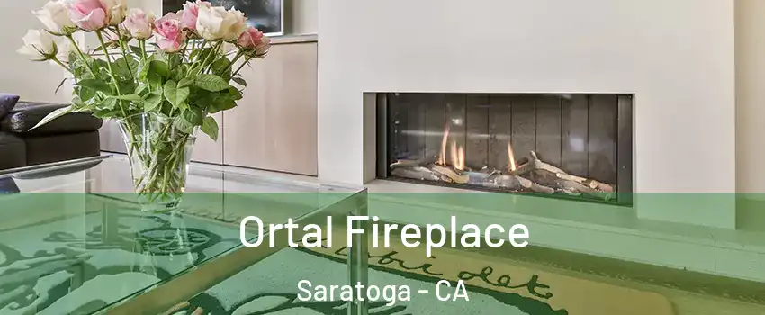 Ortal Fireplace Saratoga - CA